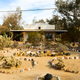 Hotel Nipton and its cactus garden.